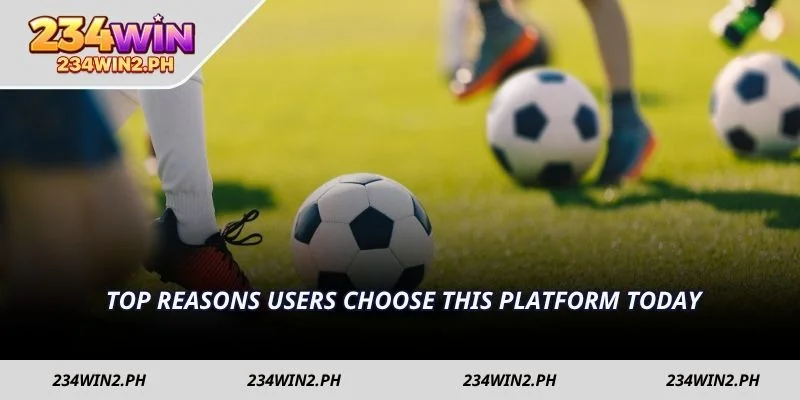Top reasons users choose this platform today