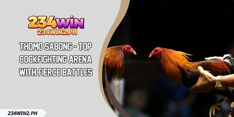 Thomo Sabong - Top Cockfighting Arena with Fierce Battles